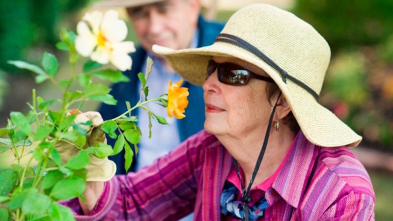 Why Aging Outdoor Spaces Can Create Bigger Problems Over Time